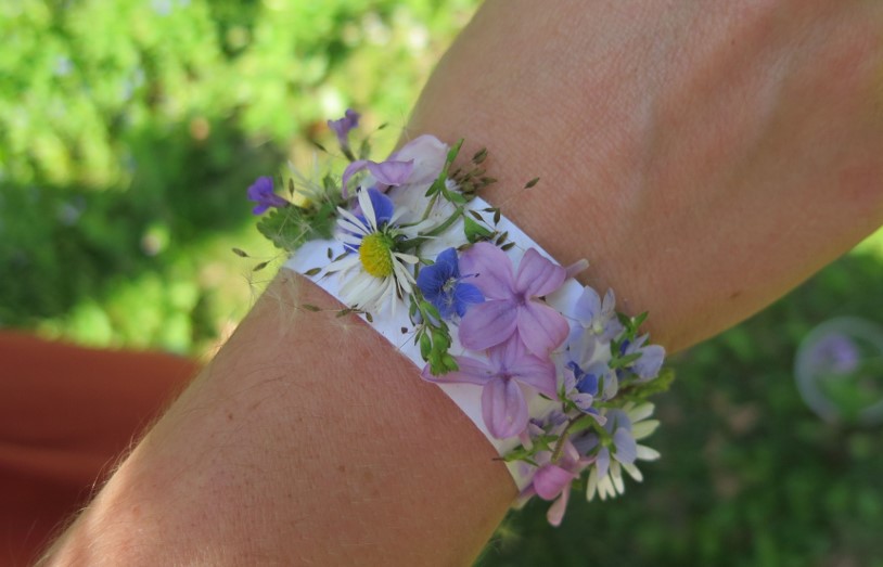 dobrodružství na louce2